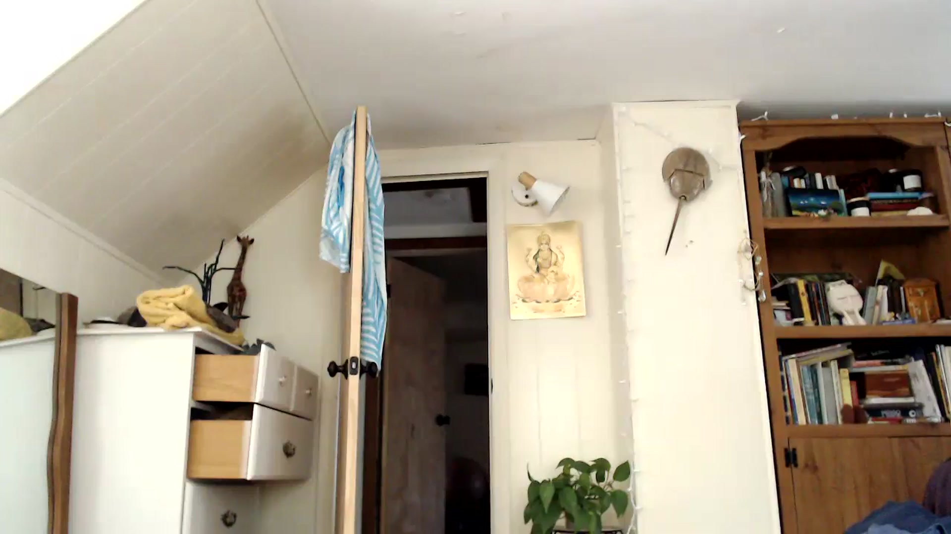 Gallery image thumbnail from WildflowerEm's myfreecams stream on, 07/29/2023, 20:07 image 10 of 20