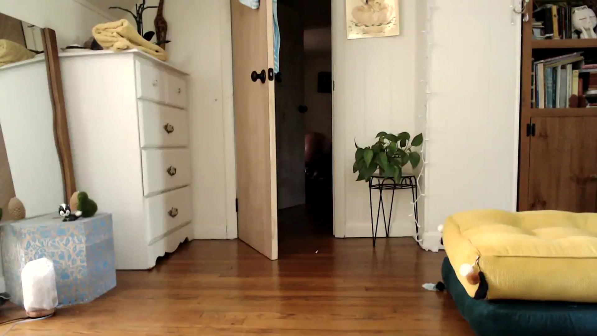 Gallery image thumbnail from WildflowerEm's myfreecams stream on, 07/29/2023, 21:48 image 8 of 20