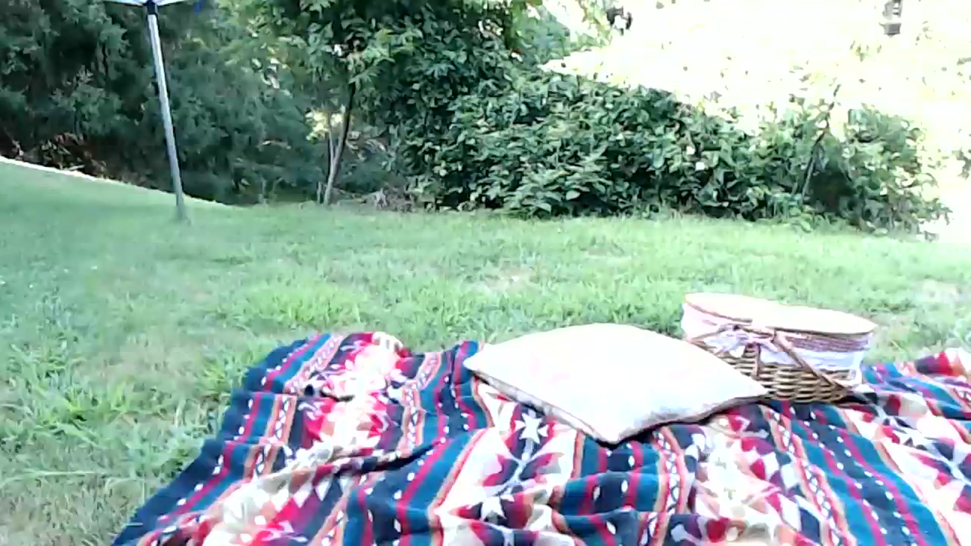 Gallery image thumbnail from WildflowerEm's myfreecams stream on, 07/30/2023, 21:45 image 15 of 20