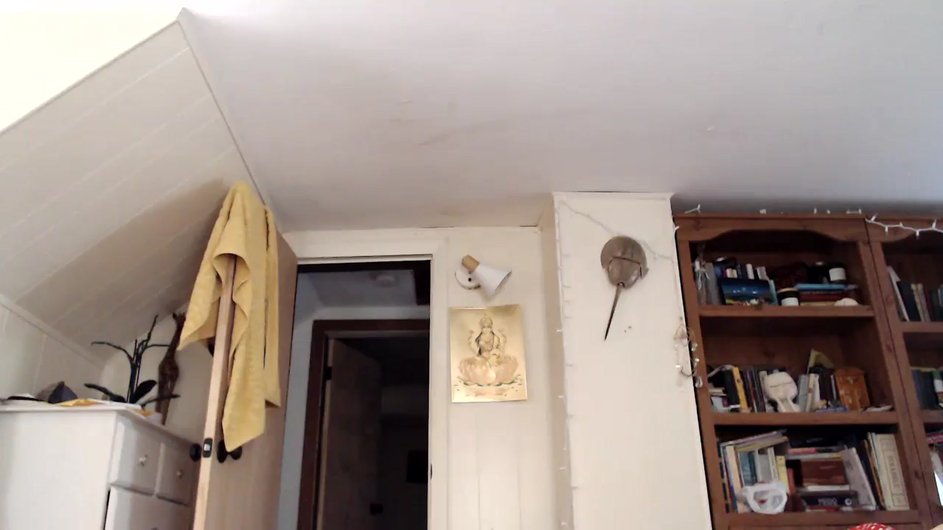 Gallery image thumbnail from WildflowerEm's myfreecams stream on, 08/05/2023, 21:40 image 11 of 20
