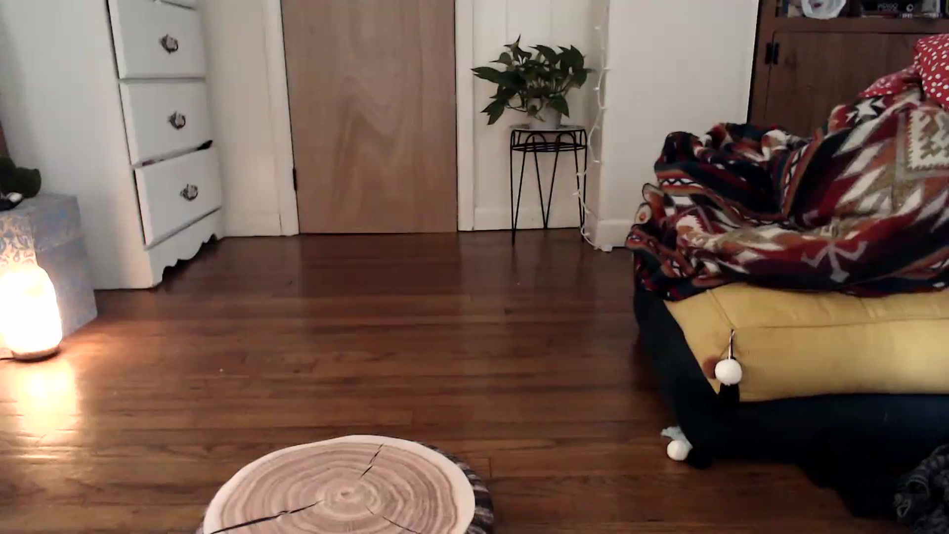 Gallery image thumbnail from WildflowerEm's myfreecams stream on, 08/05/2023, 21:40 image 14 of 20