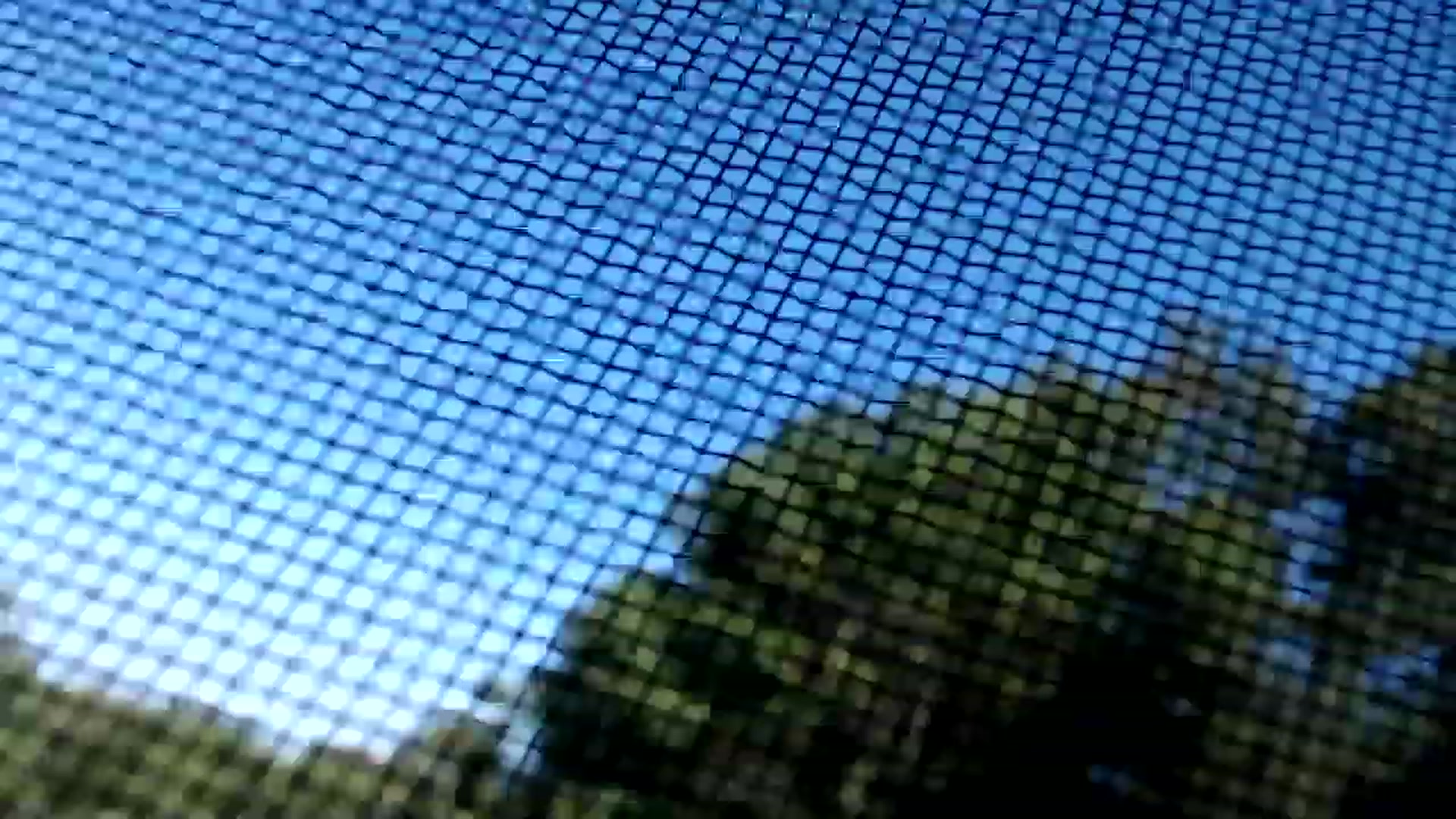 Gallery image thumbnail from WildflowerEm's myfreecams stream on, 08/06/2023, 21:14 image 12 of 20