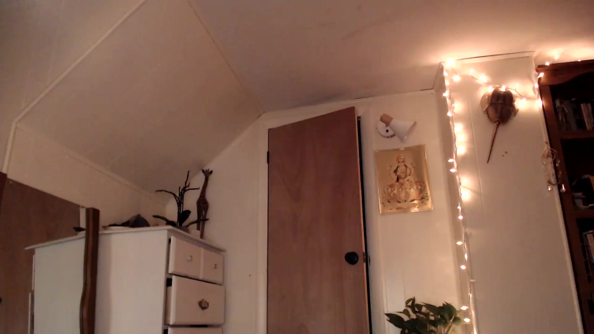 Gallery image thumbnail from WildflowerEm's myfreecams stream on, 08/20/2023, 24:18 image 15 of 20