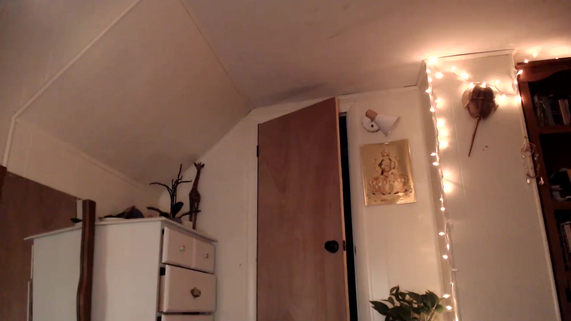 Gallery image thumbnail from WildflowerEm's myfreecams stream on, 08/20/2023, 24:18 image 13 of 20
