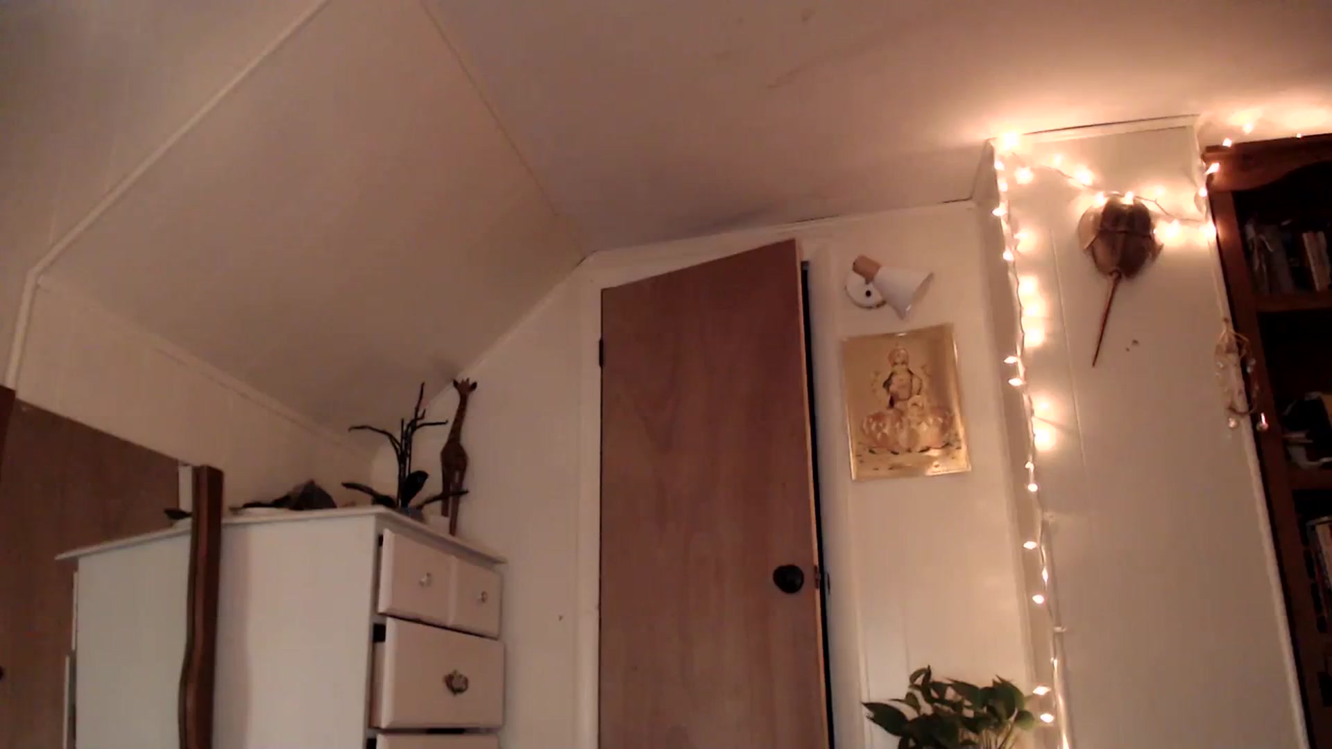 Gallery image thumbnail from WildflowerEm's myfreecams stream on, 08/20/2023, 24:18 image 17 of 20