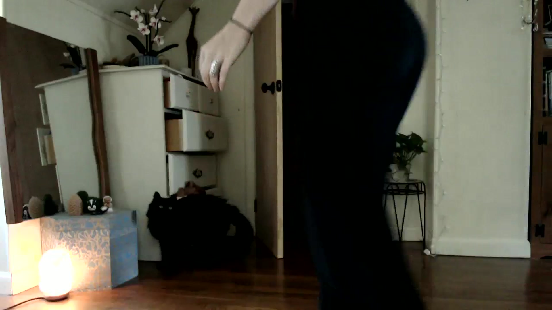 Gallery image thumbnail from WildflowerEm's myfreecams stream on, 08/31/2023, 20:13 image 8 of 20