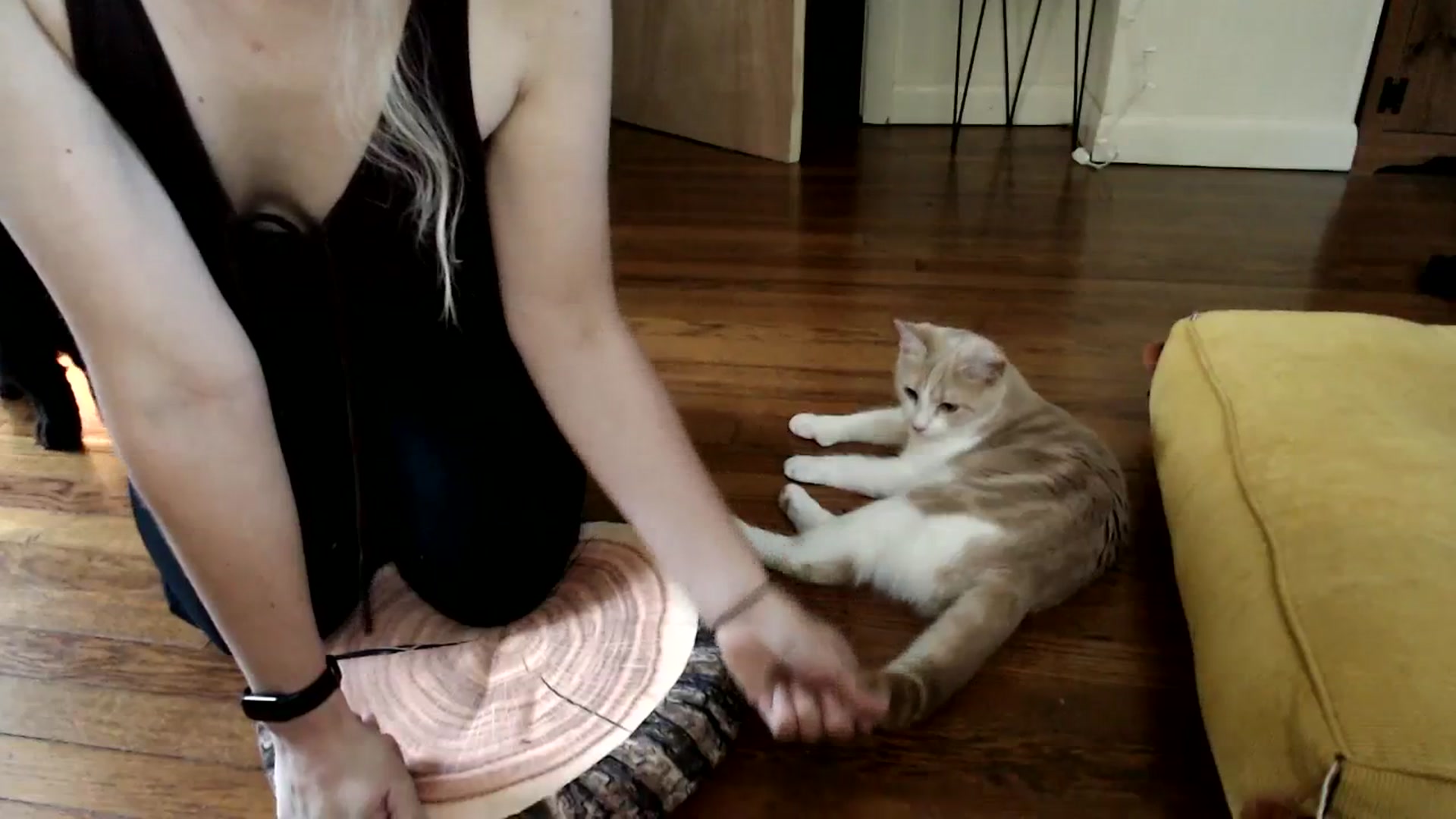 Gallery image thumbnail from WildflowerEm's myfreecams stream on, 08/31/2023, 20:13 image 4 of 20