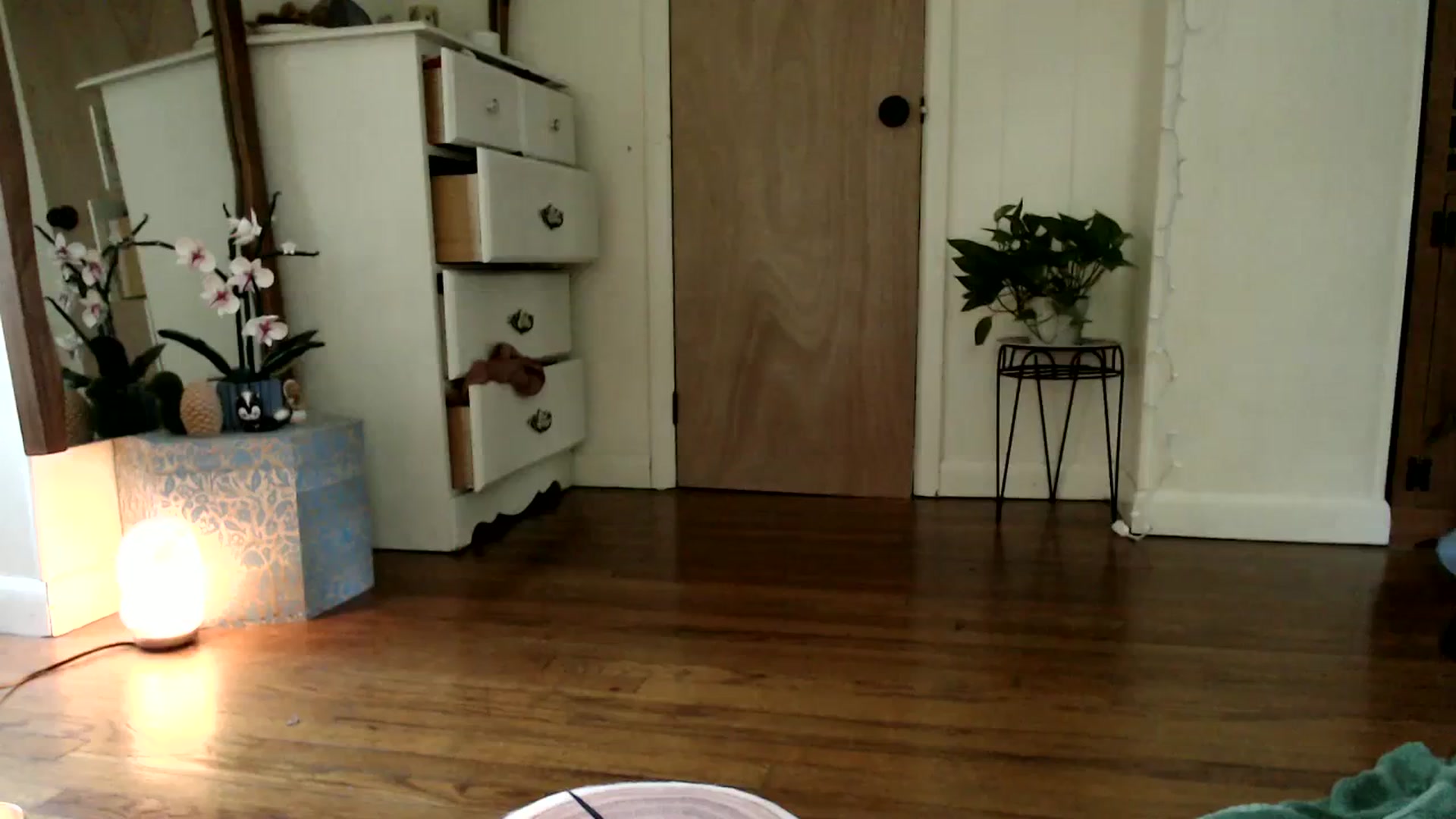 Gallery image thumbnail from WildflowerEm's myfreecams stream on, 08/31/2023, 20:13 image 16 of 20
