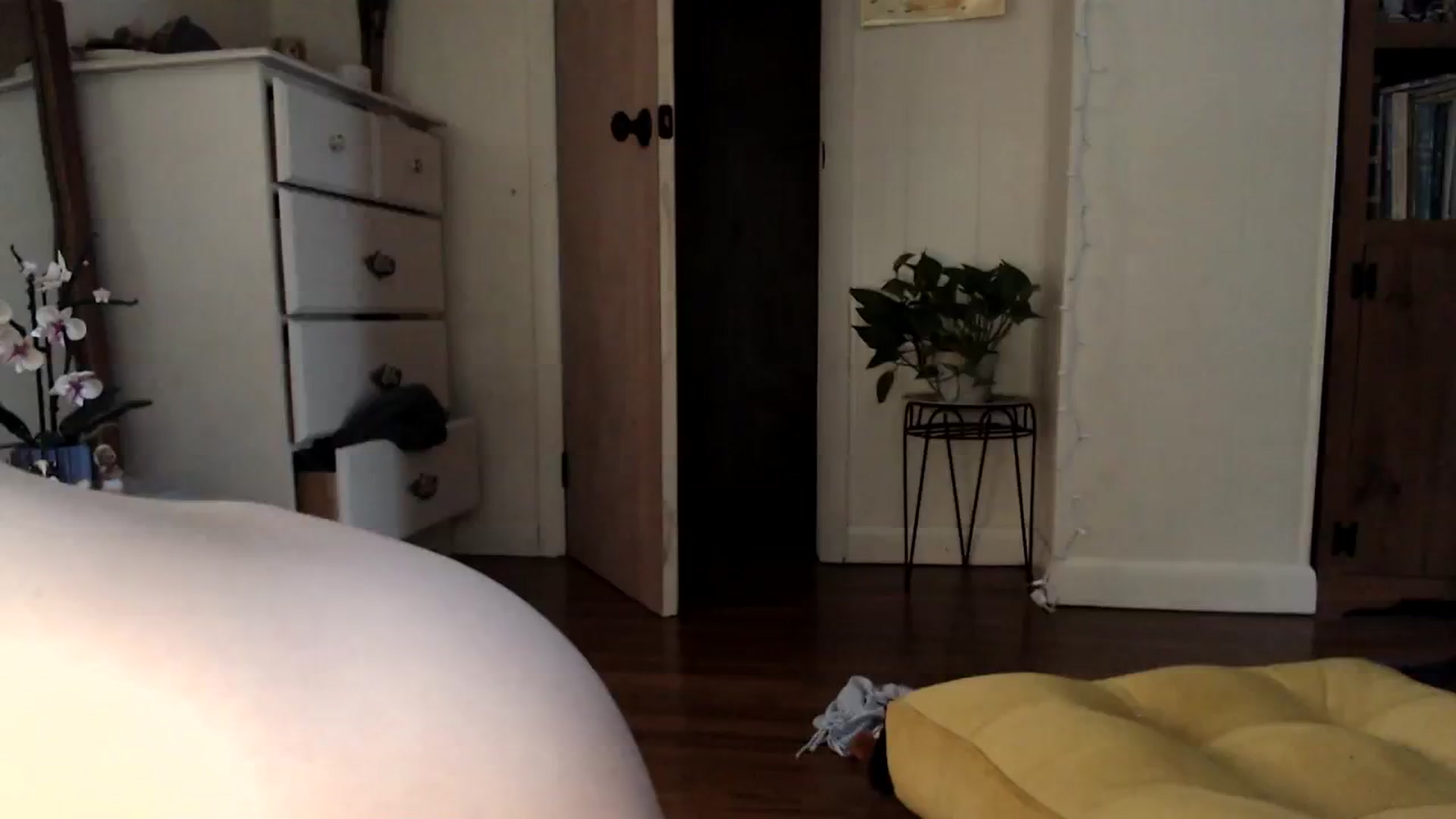 Gallery image thumbnail from WildflowerEm's myfreecams stream on, 09/03/2023, 22:39 image 14 of 20
