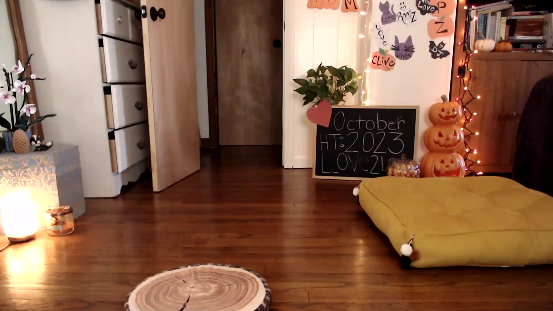 Gallery image thumbnail from WildflowerEm's myfreecams stream on, 10/28/2023, 21:14 image 7 of 20
