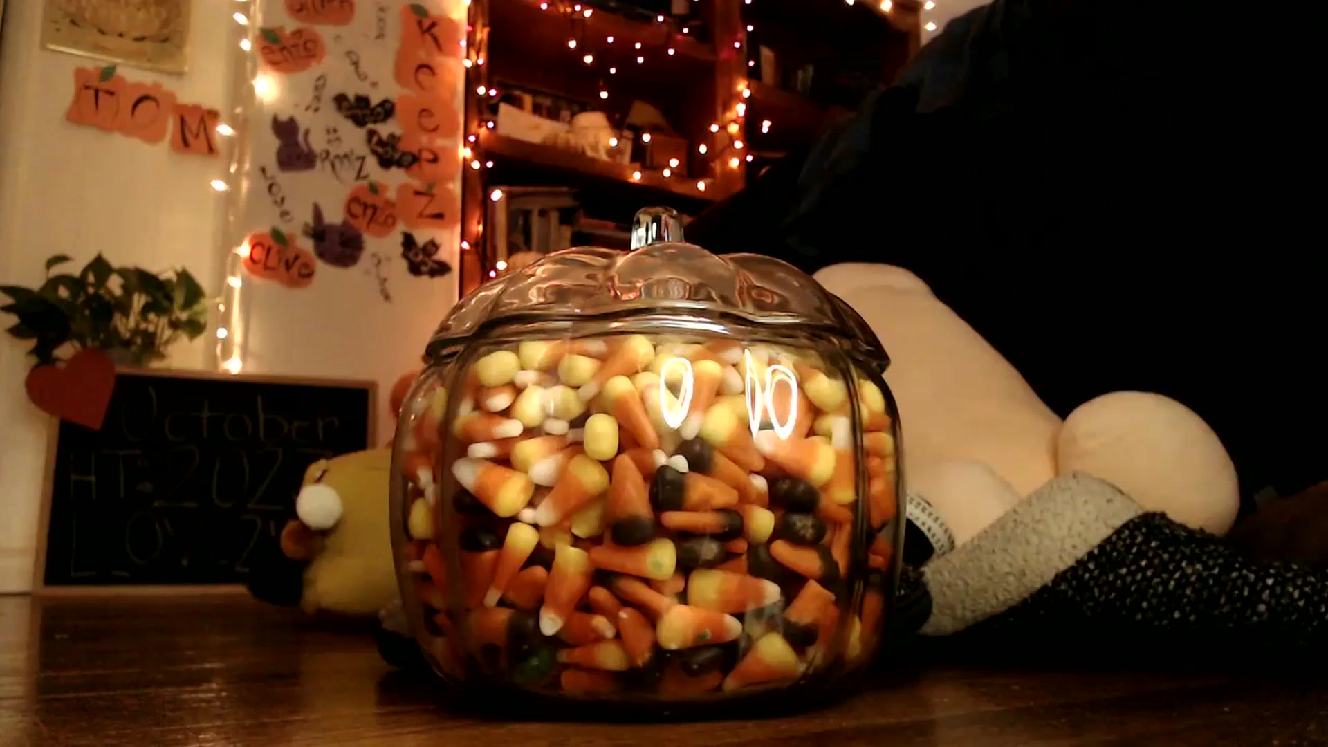 Gallery image thumbnail from WildflowerEm's myfreecams stream on, 10/29/2023, 19:58 image 20 of 20