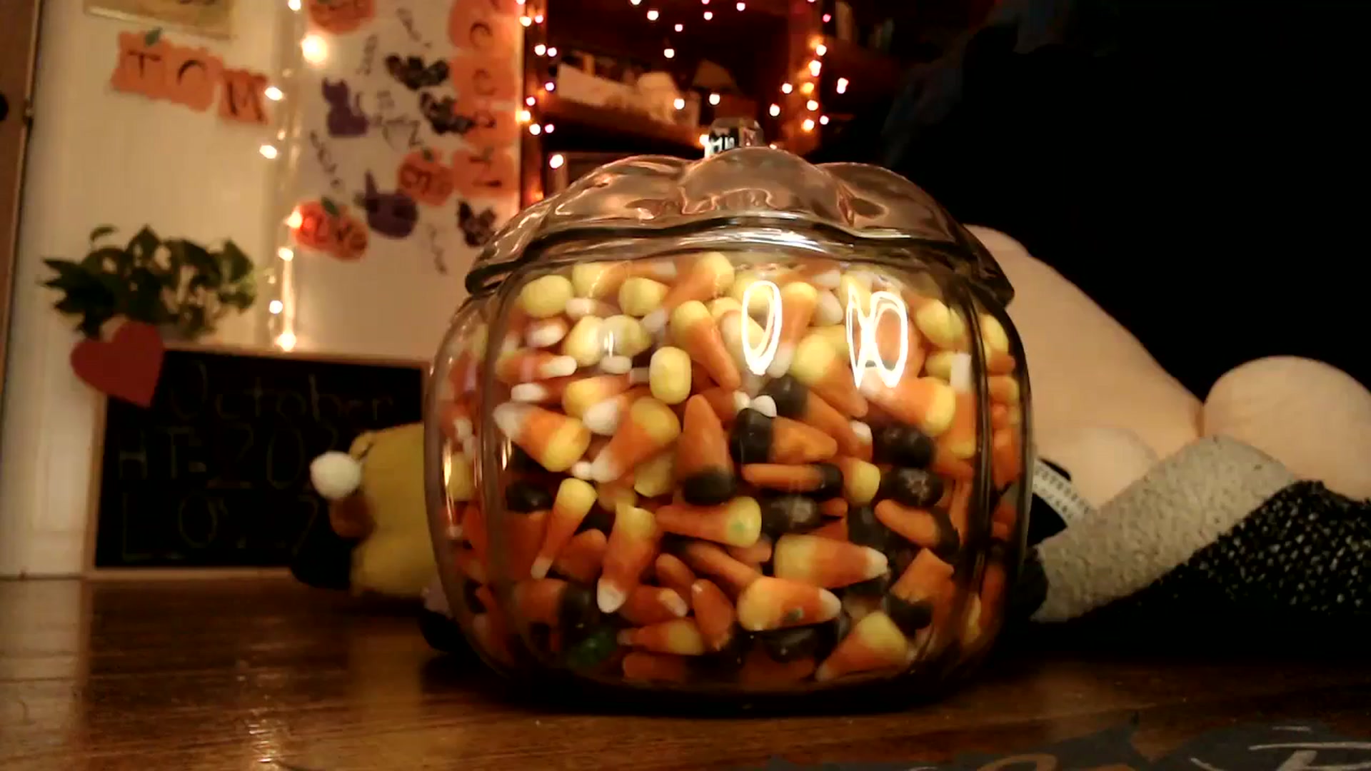 Gallery image thumbnail from WildflowerEm's myfreecams stream on, 10/29/2023, 21:36 image 1 of 20