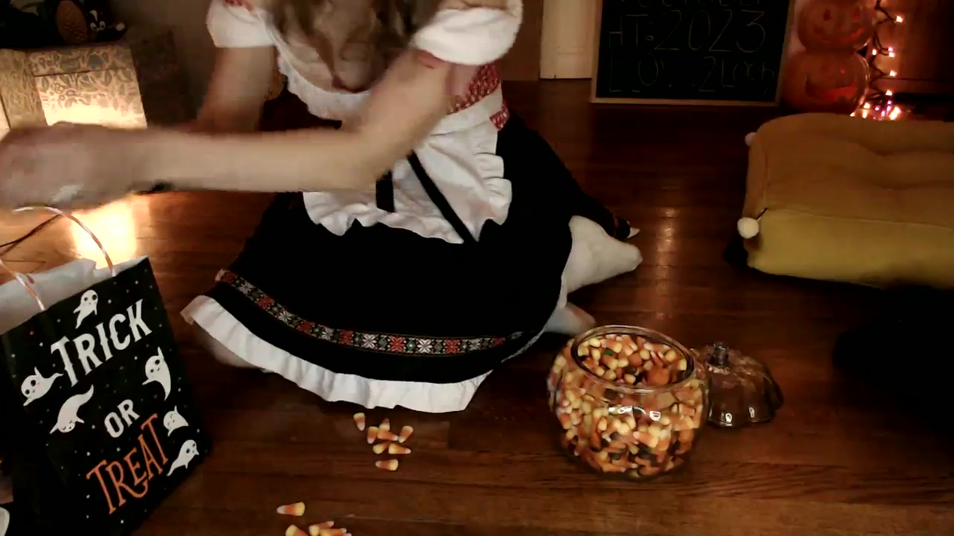 Gallery image thumbnail from WildflowerEm's myfreecams stream on, 10/29/2023, 21:36 image 15 of 20