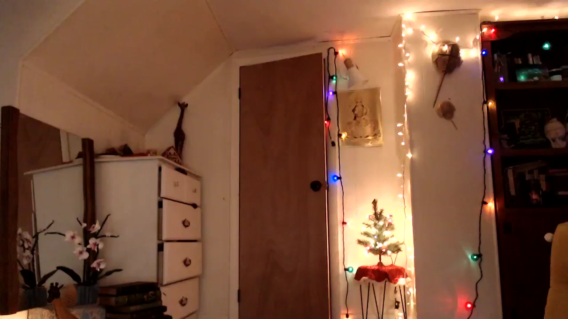 Gallery image thumbnail from WildflowerEm's myfreecams stream on, 12/16/2023, 21:46 image 17 of 20