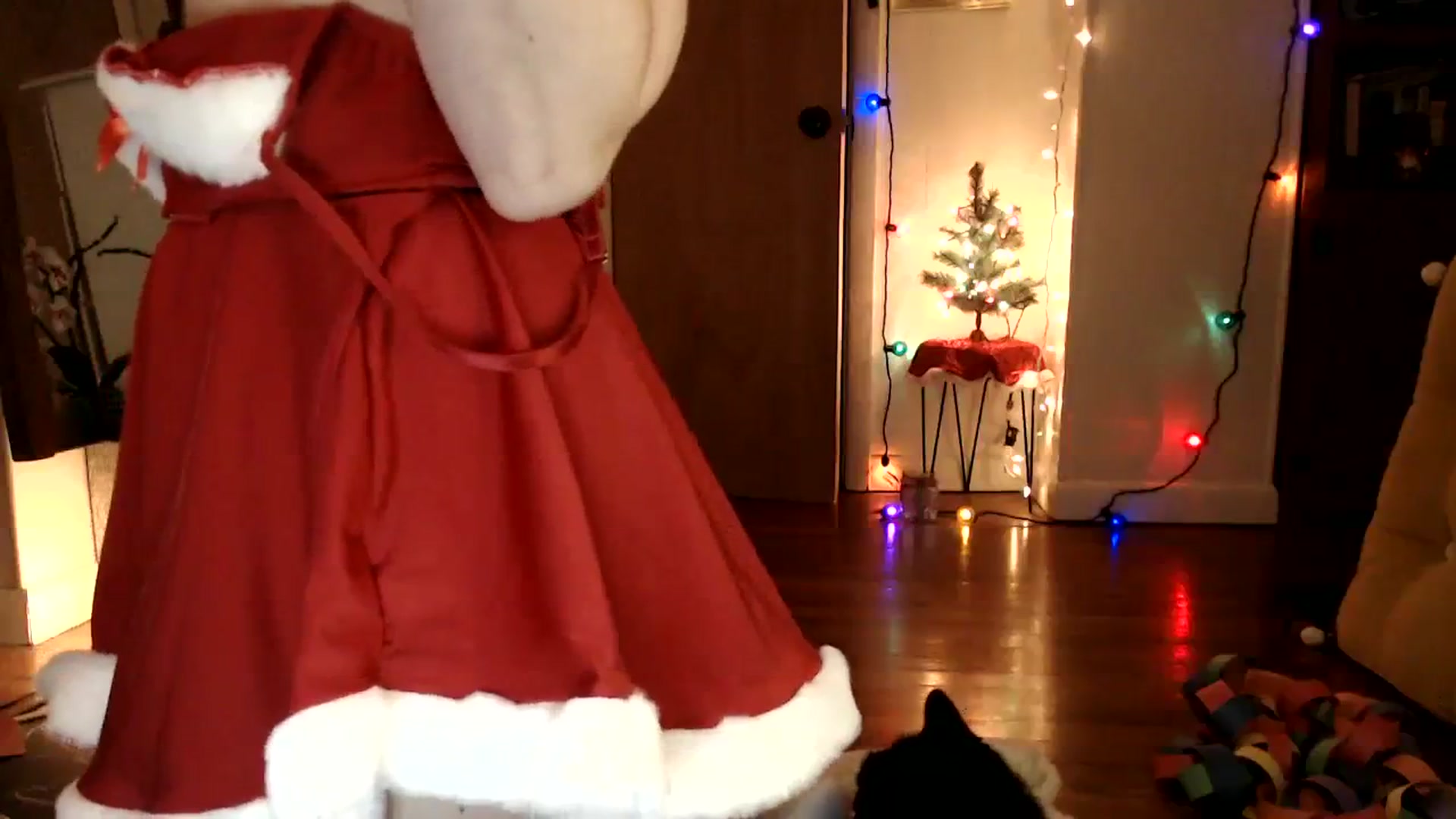 Gallery image thumbnail from WildflowerEm's myfreecams stream on, 12/16/2023, 21:46 image 20 of 20