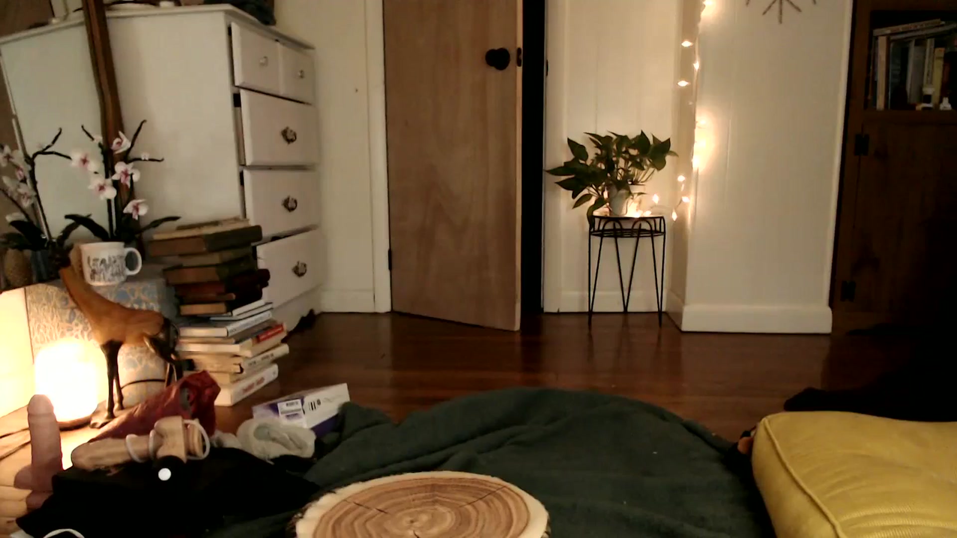 Gallery image thumbnail from WildflowerEm's myfreecams stream on, 01/28/2024, 20:53 image 19 of 20