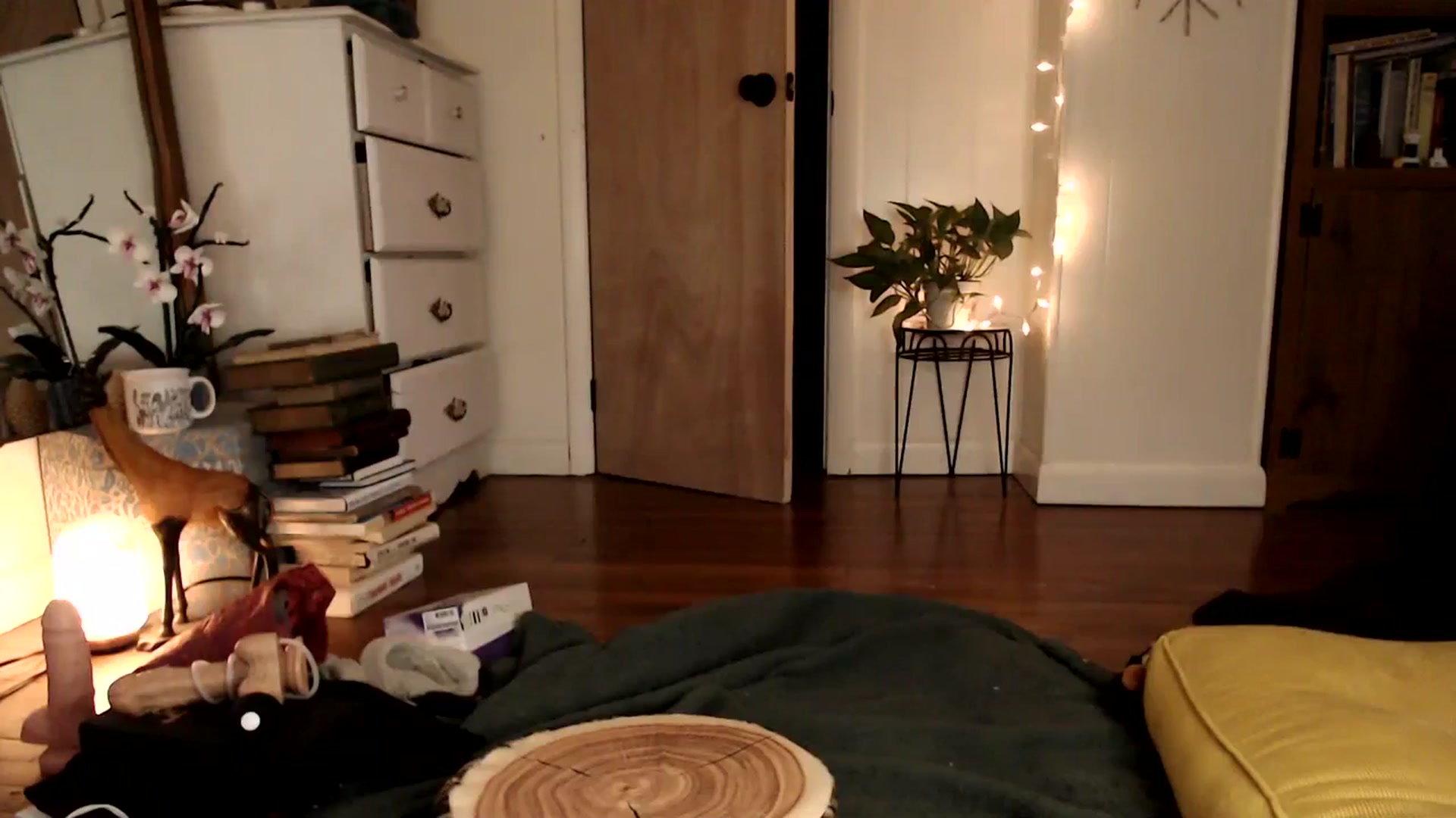 Gallery image thumbnail from WildflowerEm's myfreecams stream on, 01/28/2024, 20:53 image 20 of 20