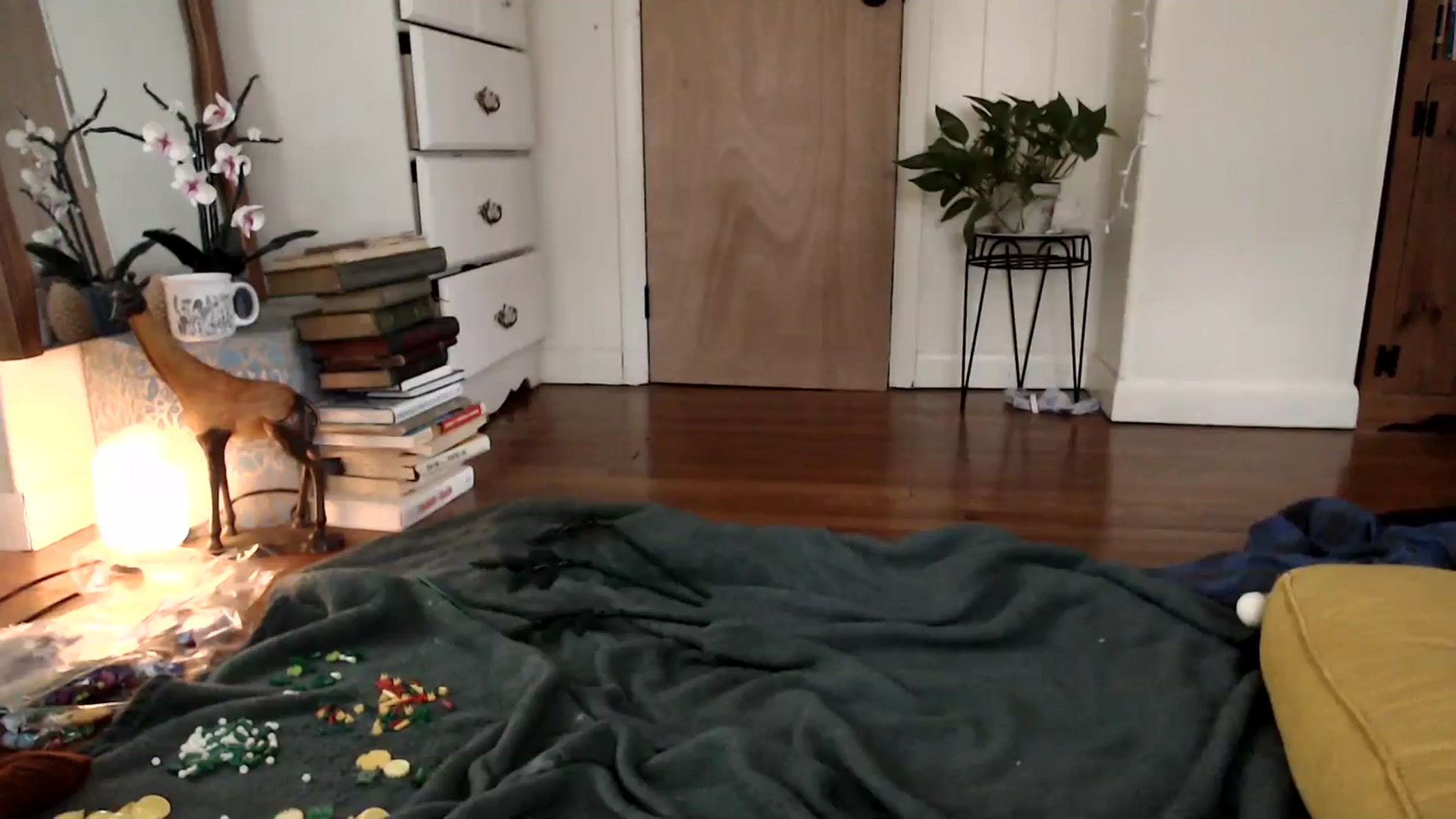 Gallery image thumbnail from WildflowerEm's myfreecams stream on, 01/29/2024, 17:10 image 14 of 20