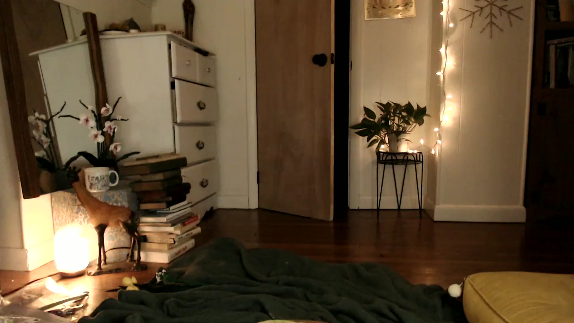 Gallery image thumbnail from WildflowerEm's myfreecams stream on, 02/03/2024, 22:43 image 16 of 20