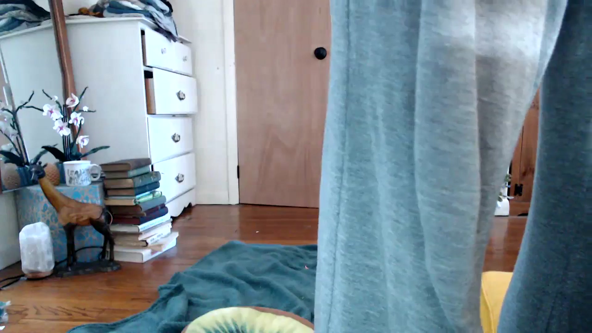 Gallery image thumbnail from WildflowerEm's myfreecams stream on, 02/21/2024, 18:46 image 16 of 20