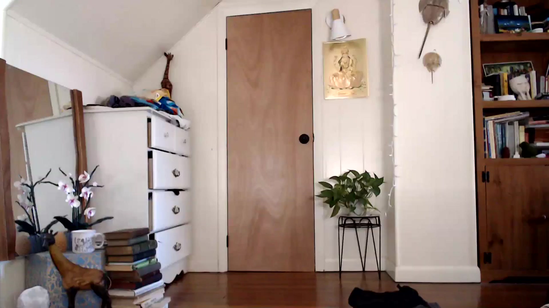 Gallery image thumbnail from WildflowerEm's myfreecams stream on, 03/12/2024, 19:08 image 14 of 20