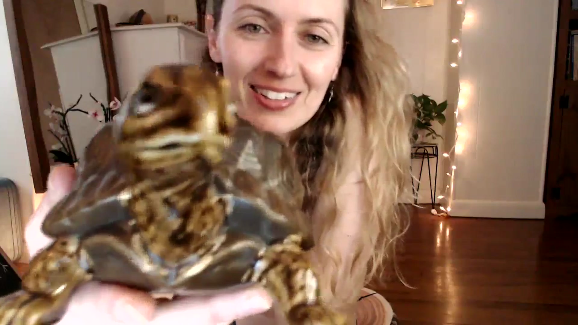 Gallery image thumbnail from WildflowerEm's myfreecams stream on, 04/06/2024, 22:37 image 5 of 20