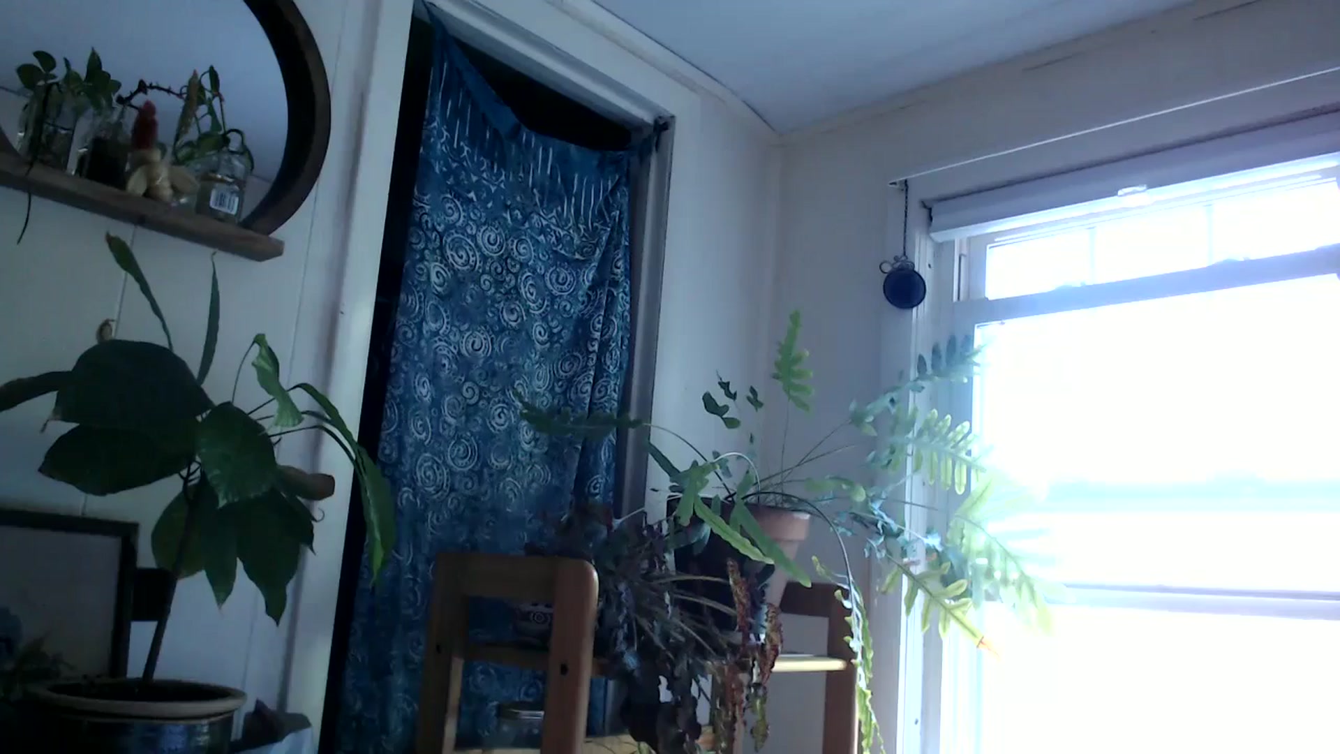 Gallery image thumbnail from WildflowerEm's myfreecams stream on, 06/15/2024, 22:52 image 13 of 20