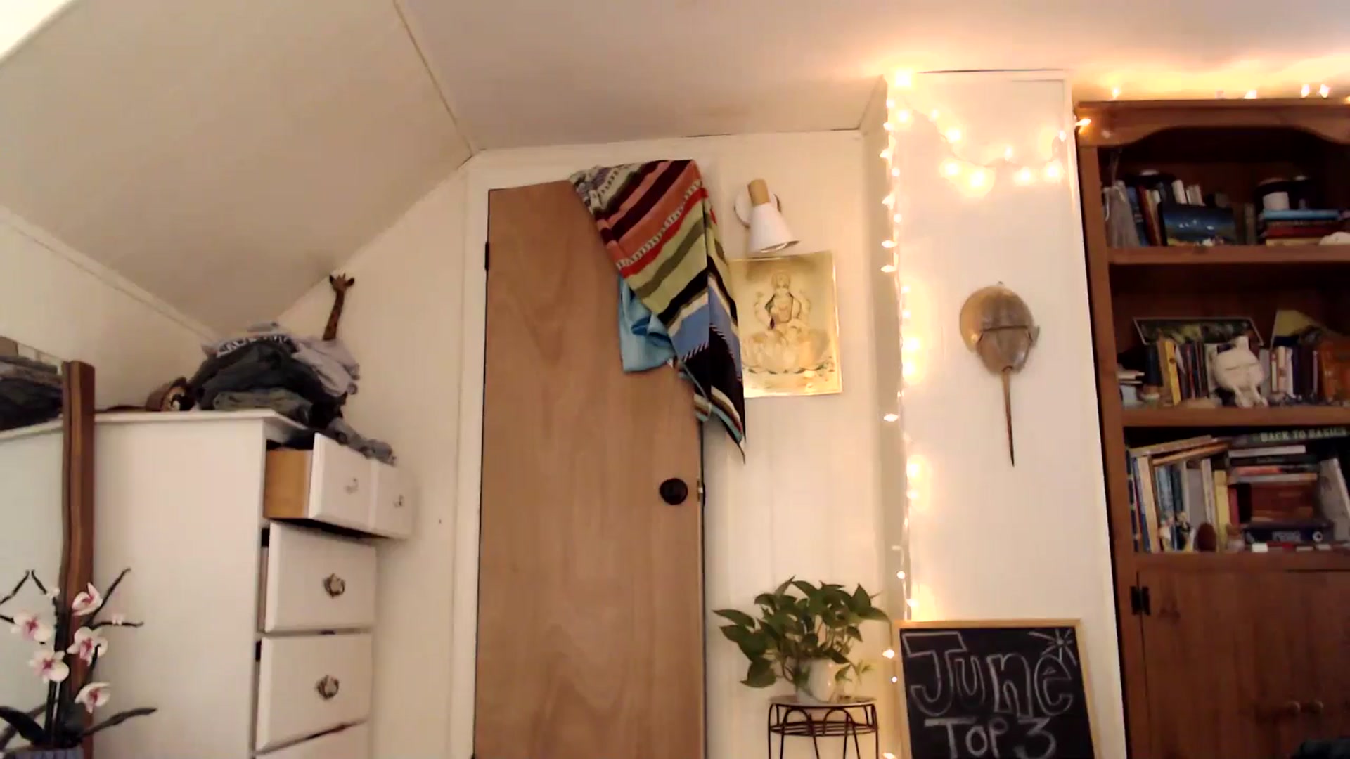 Gallery image thumbnail from WildflowerEm's myfreecams stream on, 06/29/2024, 22:03 image 8 of 20