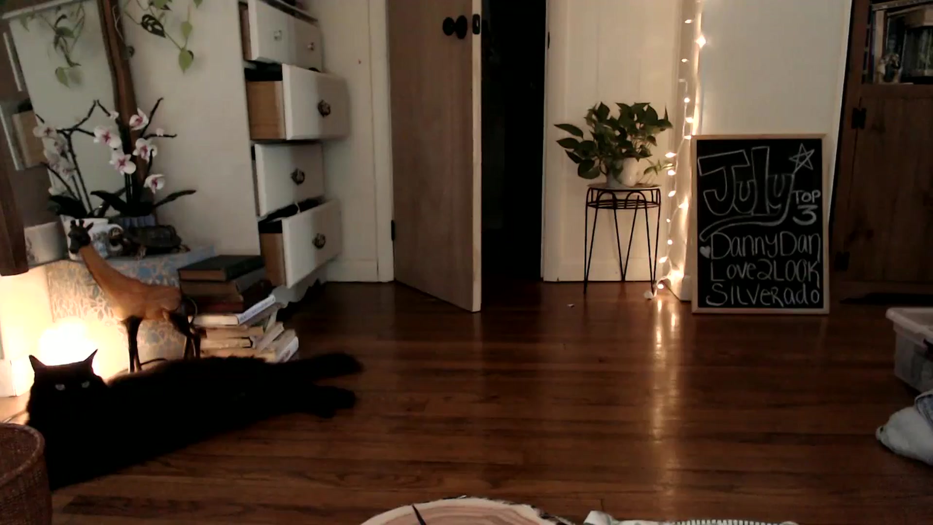 Gallery image thumbnail from WildflowerEm's myfreecams stream on, 07/27/2024, 22:50 image 2 of 20
