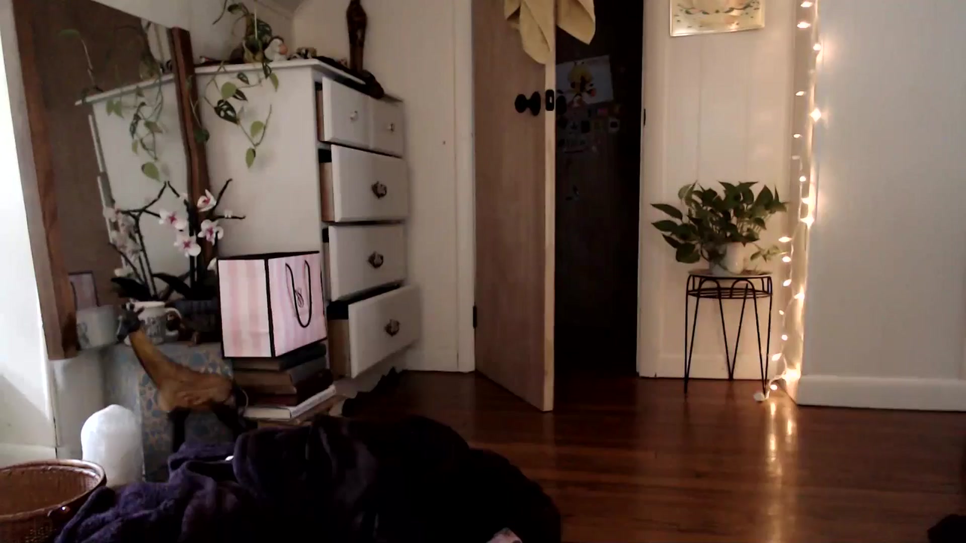 Gallery image thumbnail from WildflowerEm's myfreecams stream on, 08/10/2024, 21:50 image 5 of 20