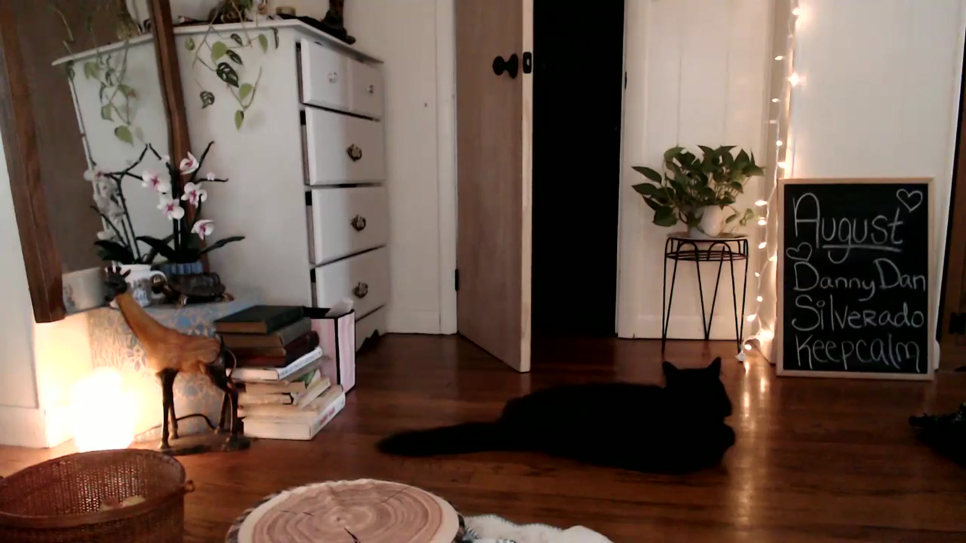 Gallery image thumbnail from WildflowerEm's myfreecams stream on, 08/15/2024, 19:17 image 12 of 20
