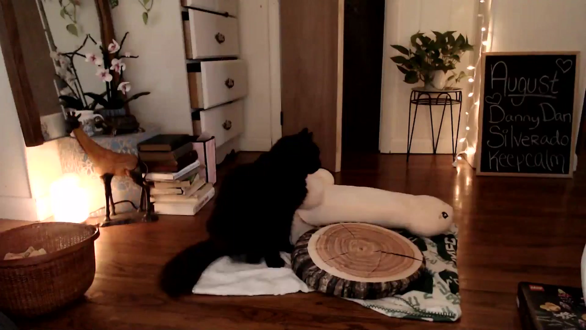 Gallery image thumbnail from WildflowerEm's myfreecams stream on, 08/18/2024, 22:50 image 13 of 20