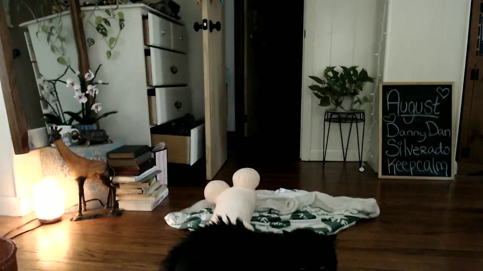 Gallery image thumbnail from WildflowerEm's myfreecams stream on, 08/25/2024, 21:22 image 4 of 20