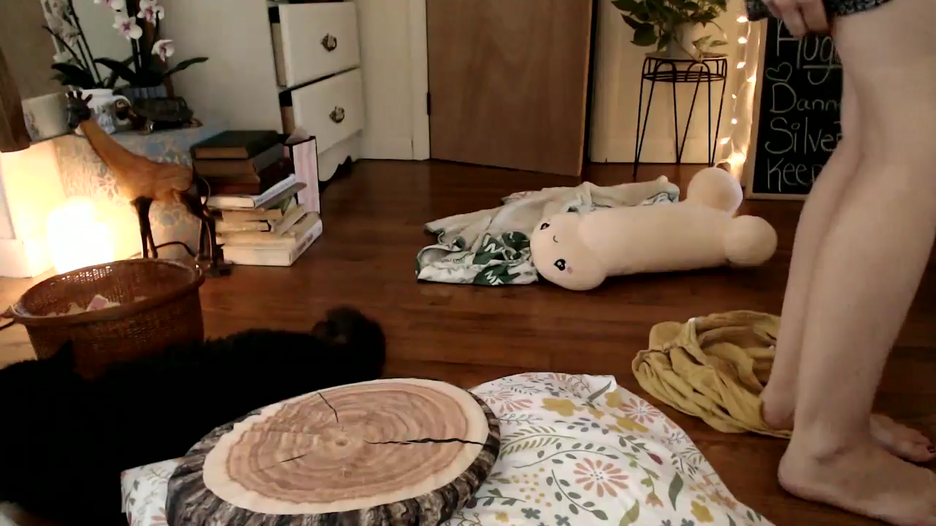 Gallery image thumbnail from WildflowerEm's myfreecams stream on, 08/25/2024, 21:22 image 15 of 20