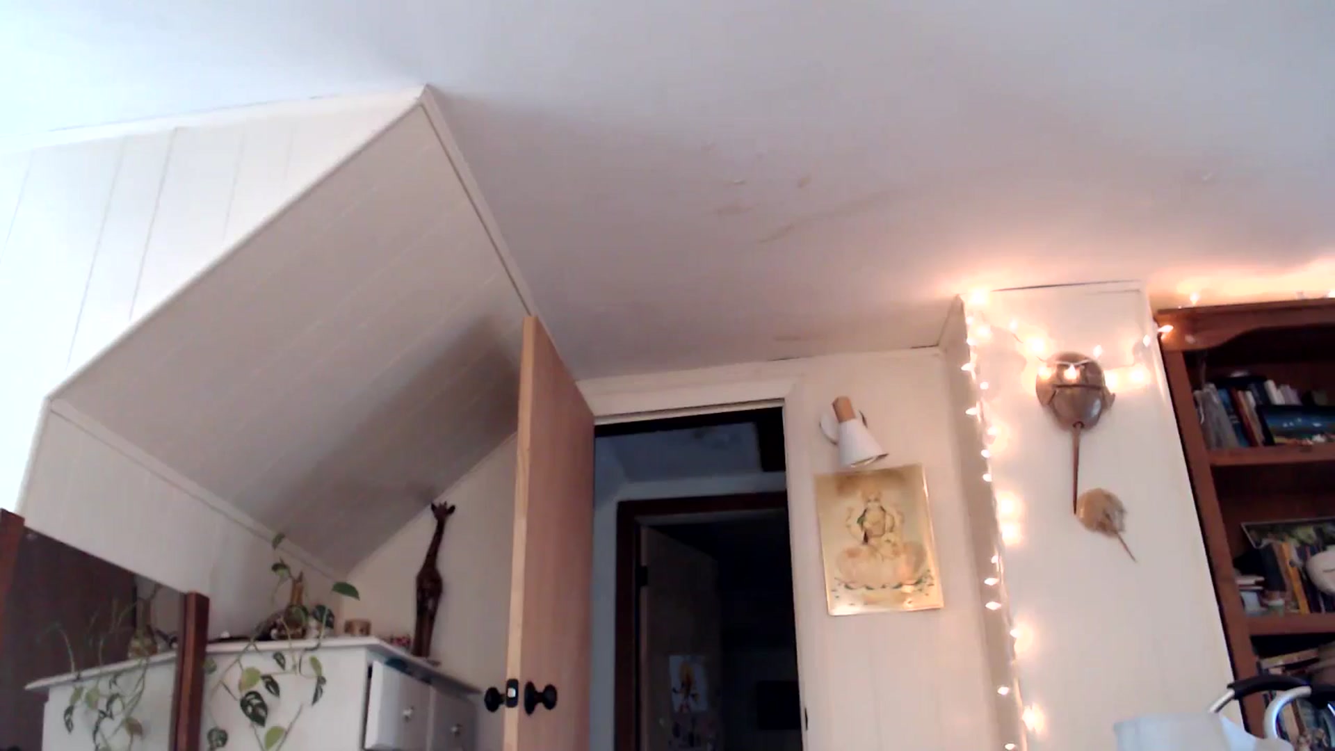 Gallery image thumbnail from WildflowerEm's myfreecams stream on, 08/31/2024, 23:15 image 8 of 20