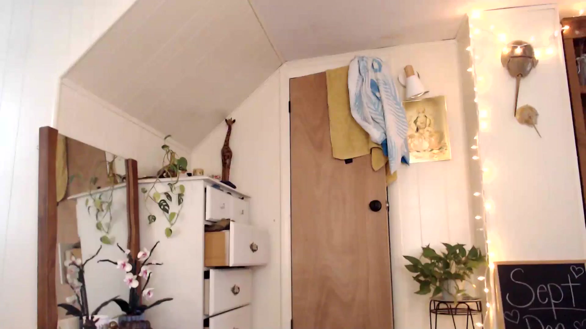 Gallery image thumbnail from WildflowerEm's myfreecams stream on, 09/12/2024, 18:19 image 15 of 20