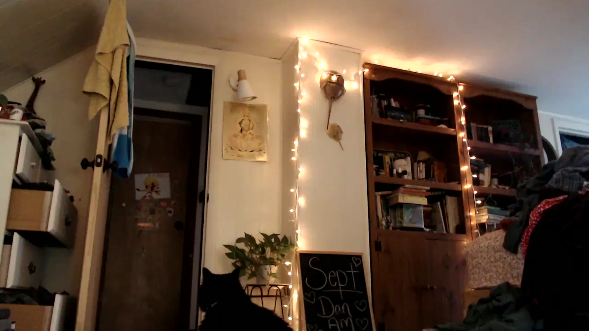 Gallery image thumbnail from WildflowerEm's myfreecams stream on, 09/15/2024, 21:54 image 4 of 20