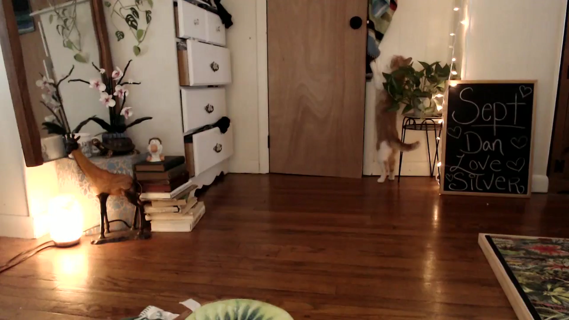 Gallery image thumbnail from WildflowerEm's myfreecams stream on, 09/30/2024, 18:51 image 11 of 20