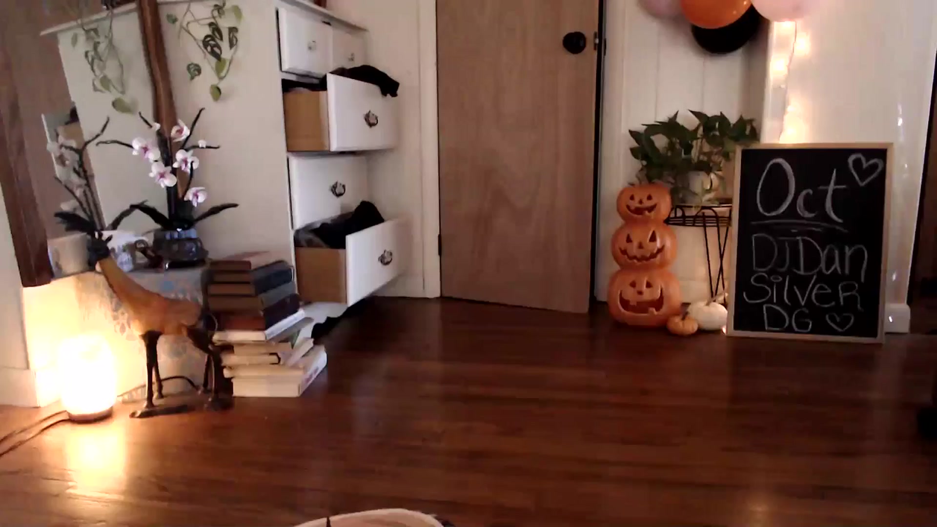 Gallery image thumbnail from WildflowerEm's myfreecams stream on, 10/15/2024, 18:12 image 18 of 20