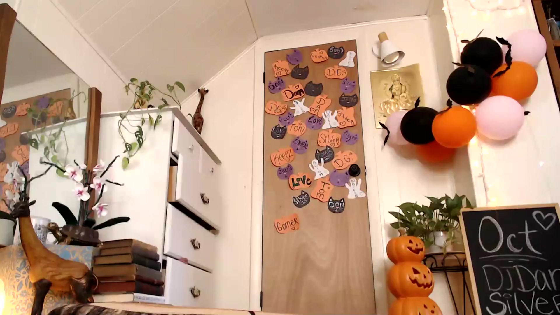 Gallery image thumbnail from WildflowerEm's myfreecams stream on, 10/22/2024, 19:05 image 16 of 20