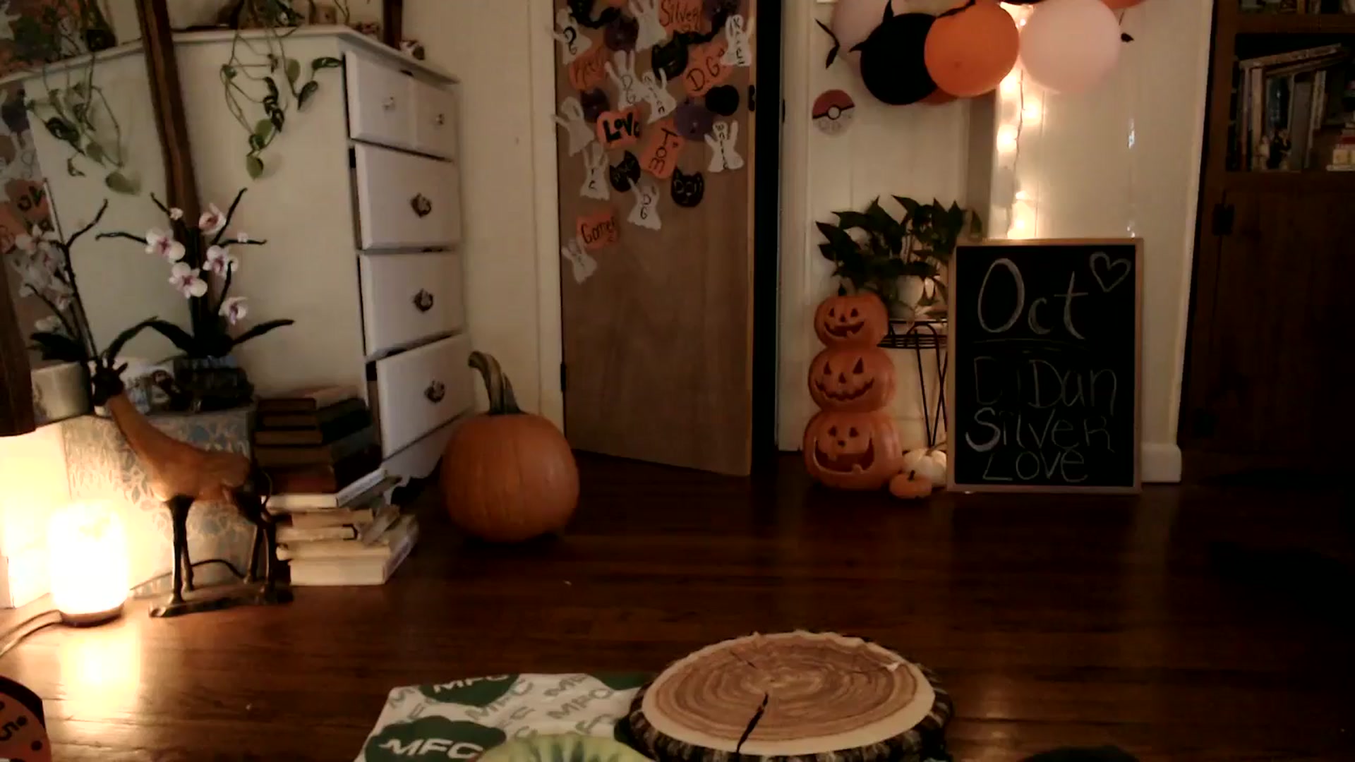 Gallery image thumbnail from WildflowerEm's myfreecams stream on, 10/27/2024, 22:30 image 14 of 20