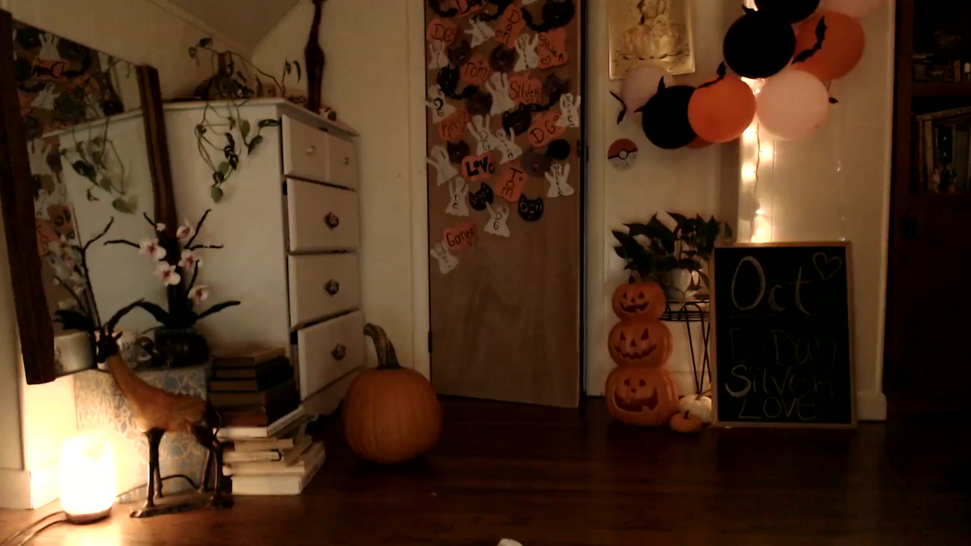 Gallery image thumbnail from WildflowerEm's myfreecams stream on, 10/27/2024, 22:30 image 19 of 20