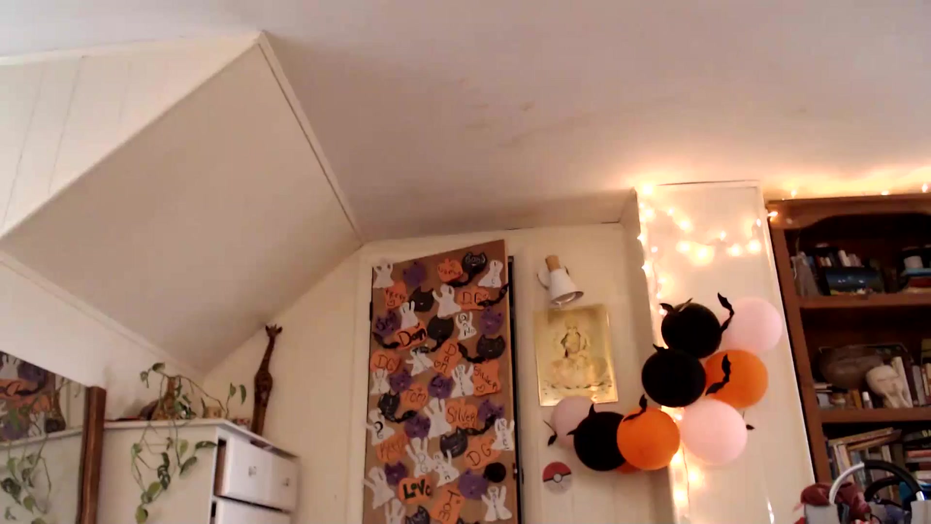 Gallery image thumbnail from WildflowerEm's myfreecams stream on, 10/29/2024, 18:49 image 6 of 20