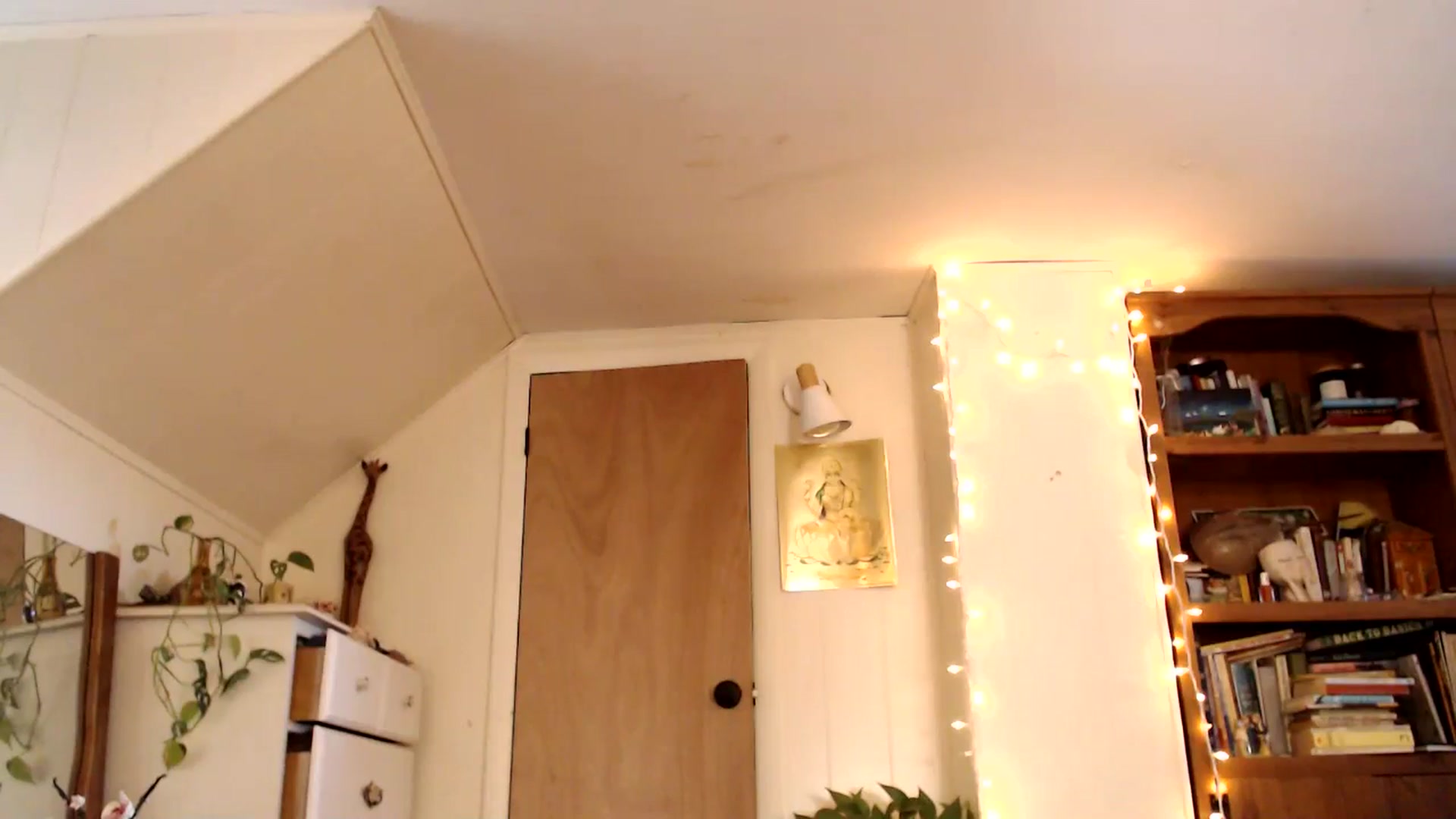 Gallery image thumbnail from WildflowerEm's myfreecams stream on, 11/15/2024, 19:24 image 14 of 20