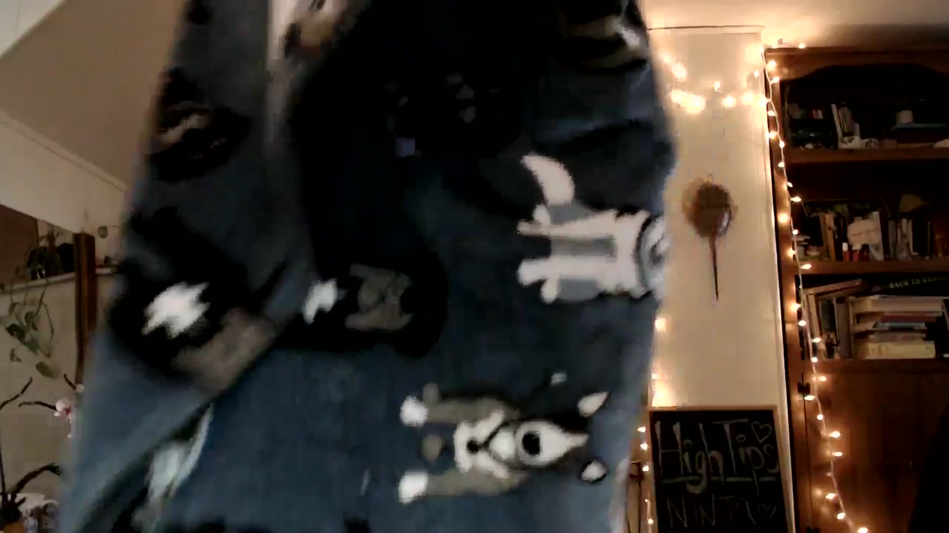 Gallery image thumbnail from WildflowerEm's myfreecams stream on, 11/22/2024, 19:40 image 5 of 20