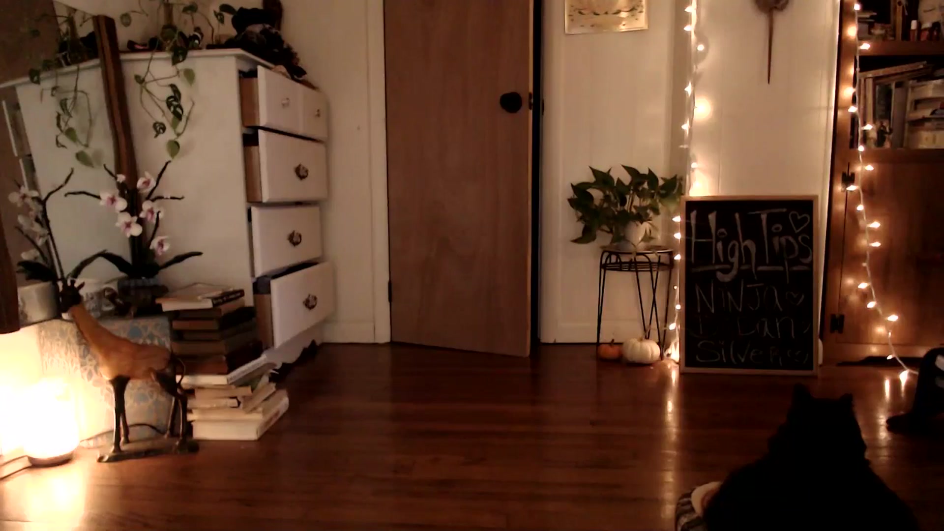 Gallery image thumbnail from WildflowerEm's myfreecams stream on, 11/24/2024, 22:08 image 12 of 20