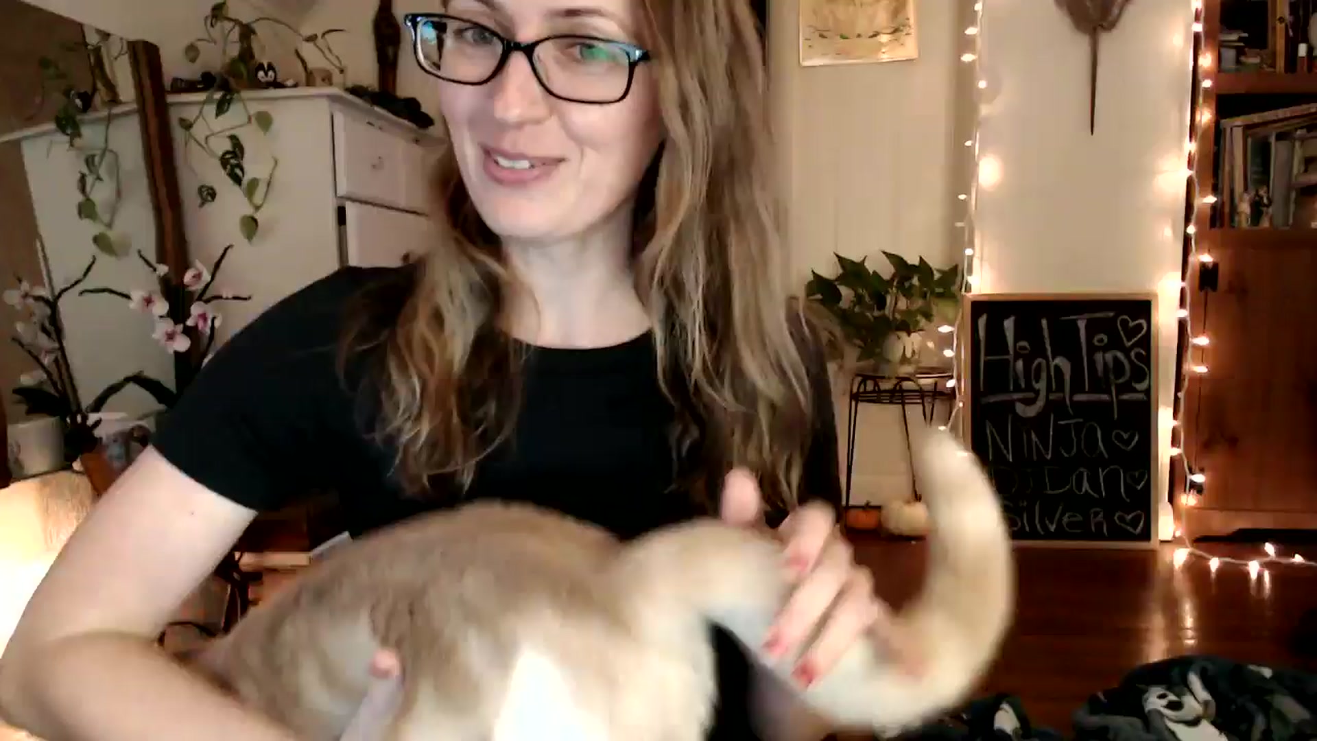Gallery image thumbnail from WildflowerEm's myfreecams stream on, 11/26/2024, 20:02 image 7 of 20