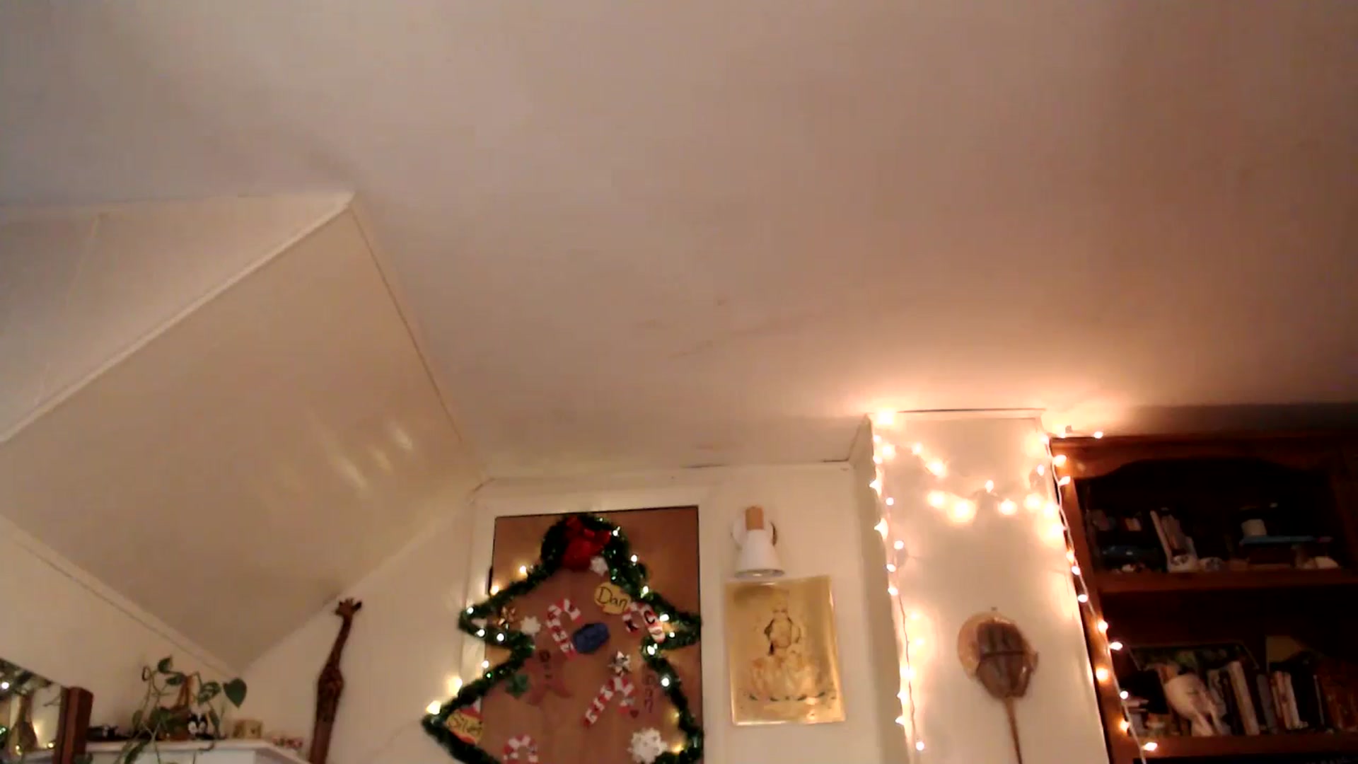 Gallery image thumbnail from WildflowerEm's myfreecams stream on, 12/29/2024, 23:23 image 8 of 20