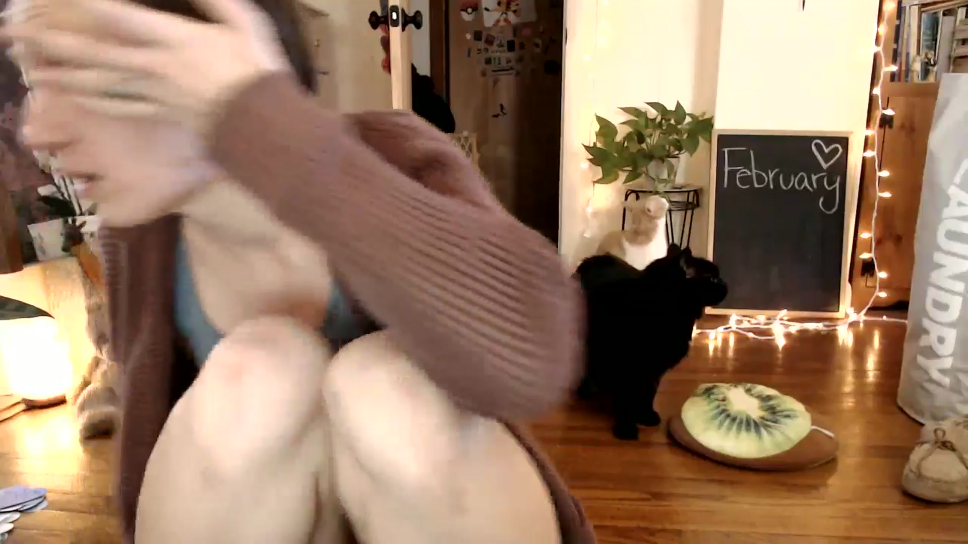 Gallery image thumbnail from WildflowerEm's myfreecams stream on, 02/05/2025, 20:06 image 12 of 20