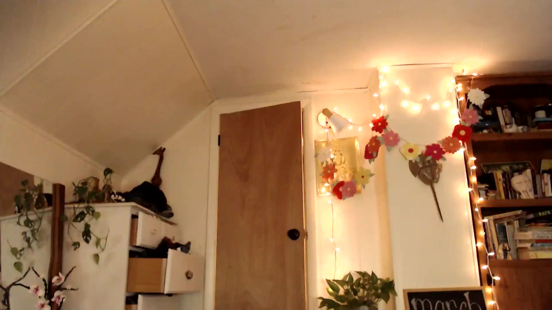 Gallery image thumbnail from WildflowerEm's myfreecams stream on, 03/29/2025, 23:41 image 3 of 20